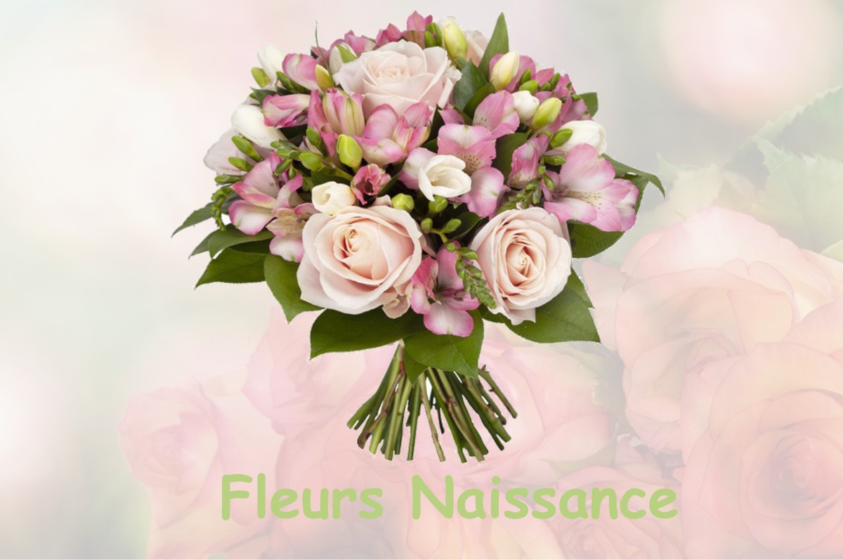 fleurs naissance SAINT-MARTIN-DE-RIBERAC